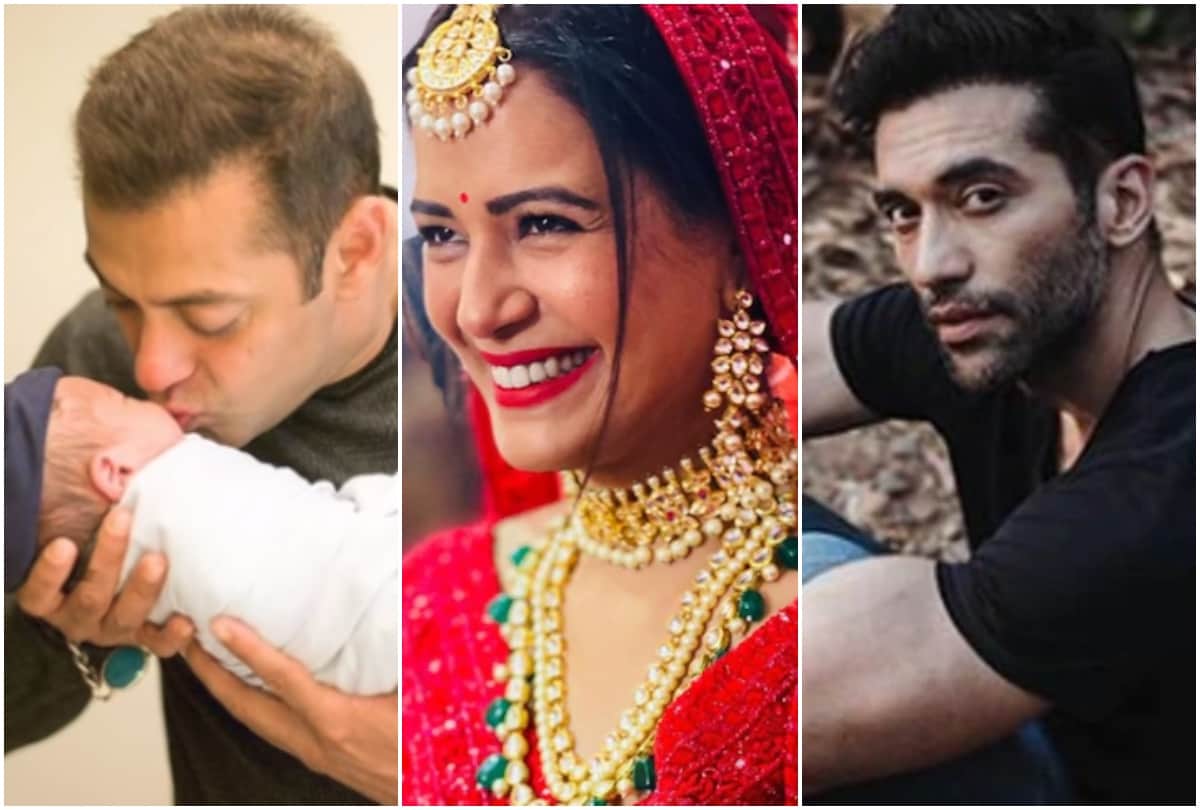 salman khan to kushal punjabi here bollywood top news this week