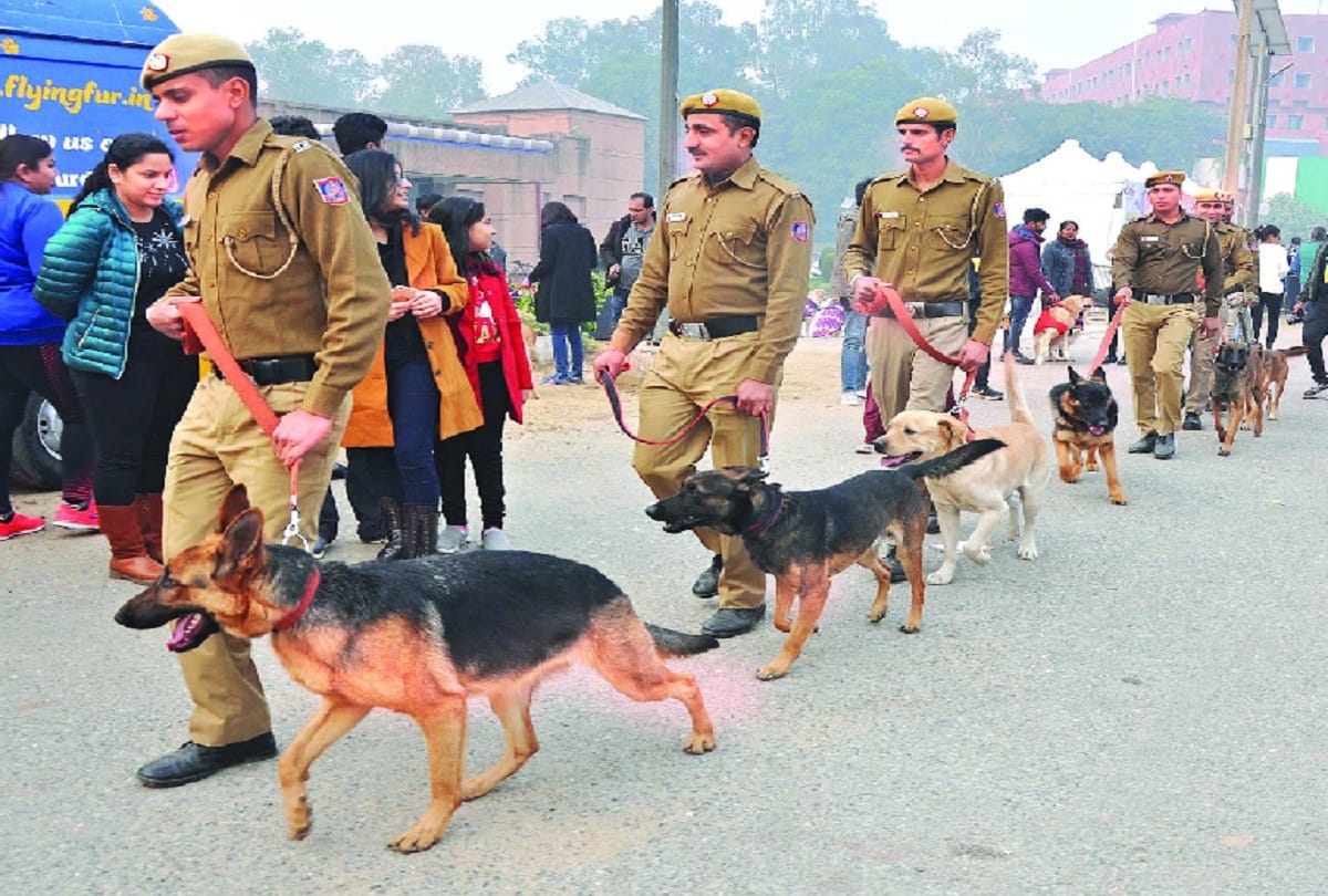 Viewers surprised to see the ramp walk of Delhi Police dogs 