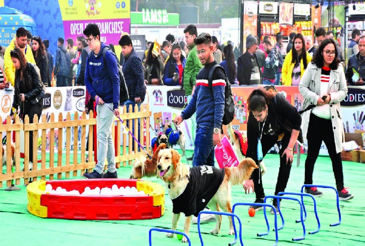 Viewers surprised to see the ramp walk of Delhi Police dogs 