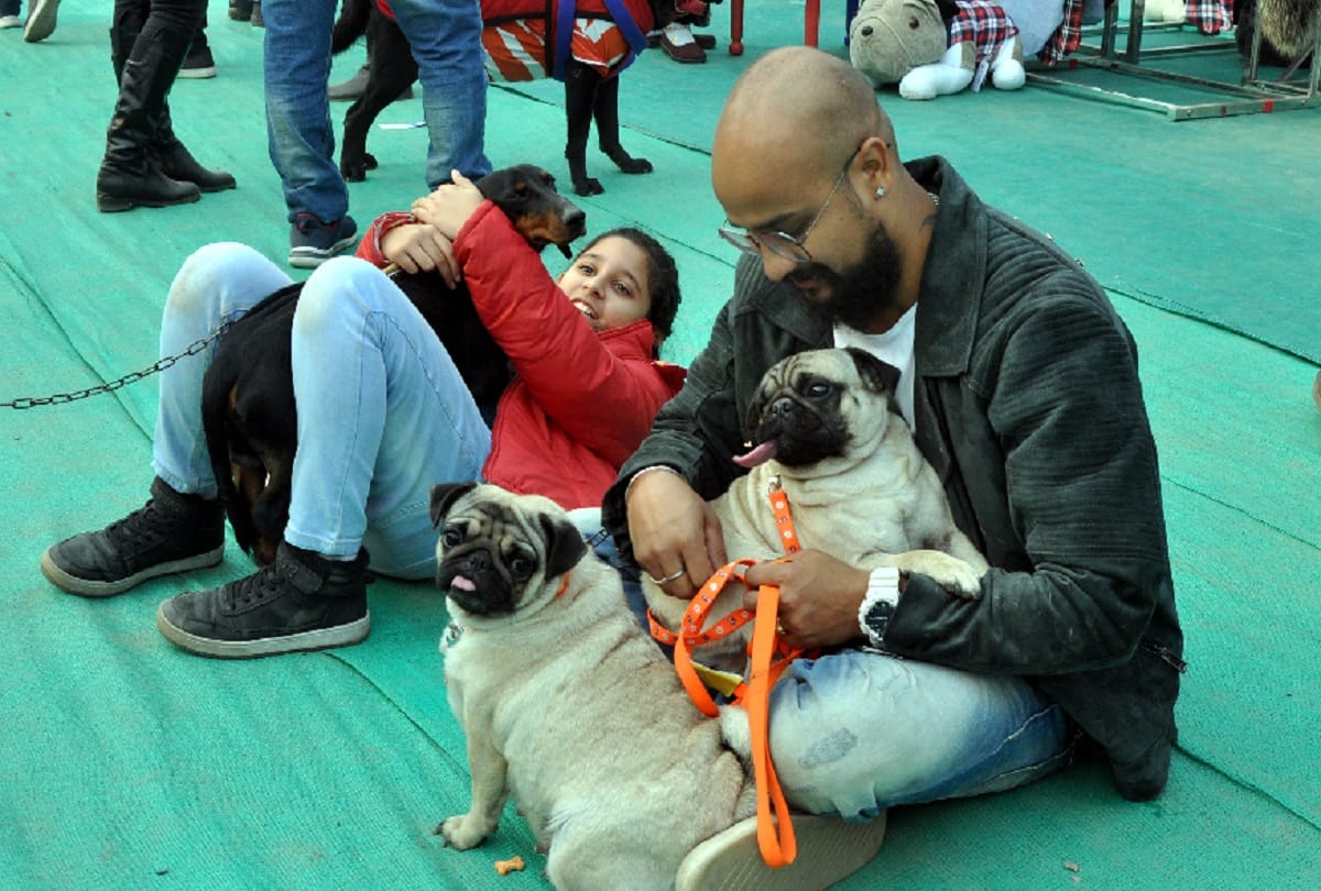 Viewers surprised to see the ramp walk of Delhi Police dogs 