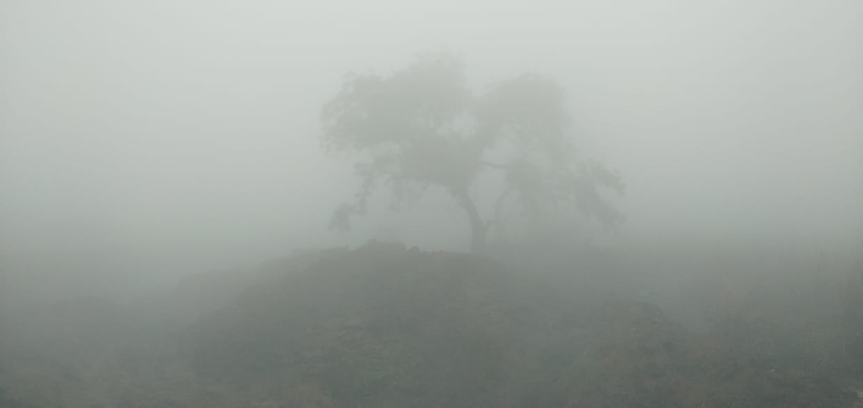Entire district in the grip of cold wave, mercury reached below three