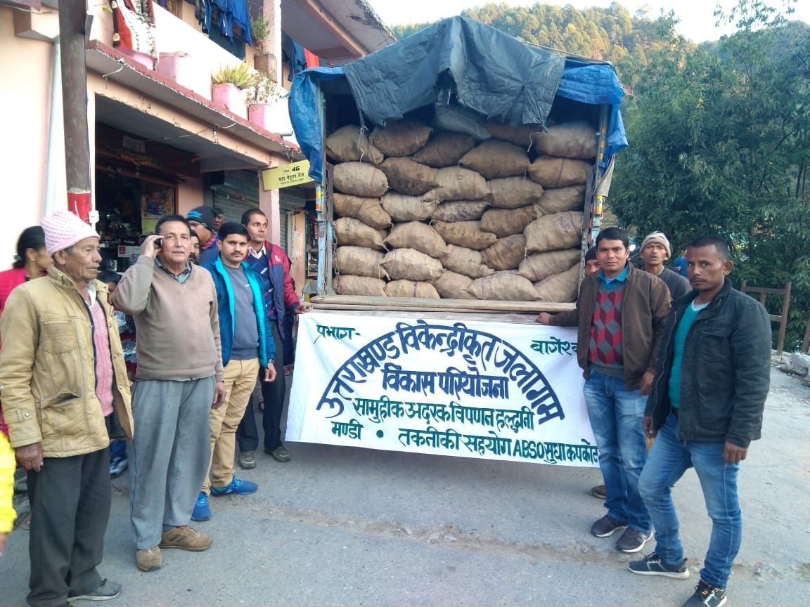 Seven tons of ginger sent to Haldwani market