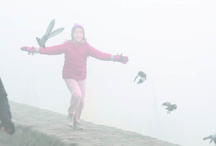 Alert in Punjab, Haryana, Chandigarh Due to Dense Fog and Chilling, Weather Forecast