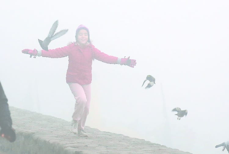 Alert in Punjab, Haryana, Chandigarh Due to Dense Fog and Chilling, Weather Forecast