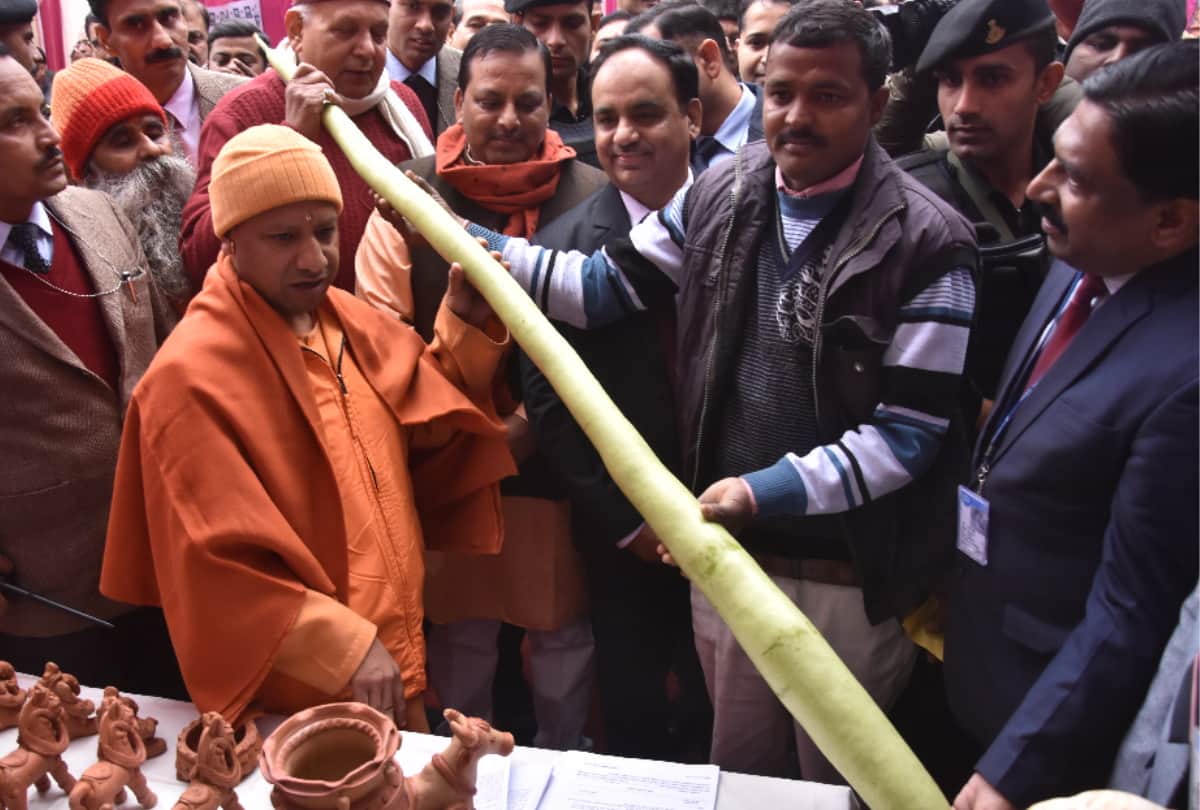 CM yogi adityanath shocked to see vegetable in gorakhpur