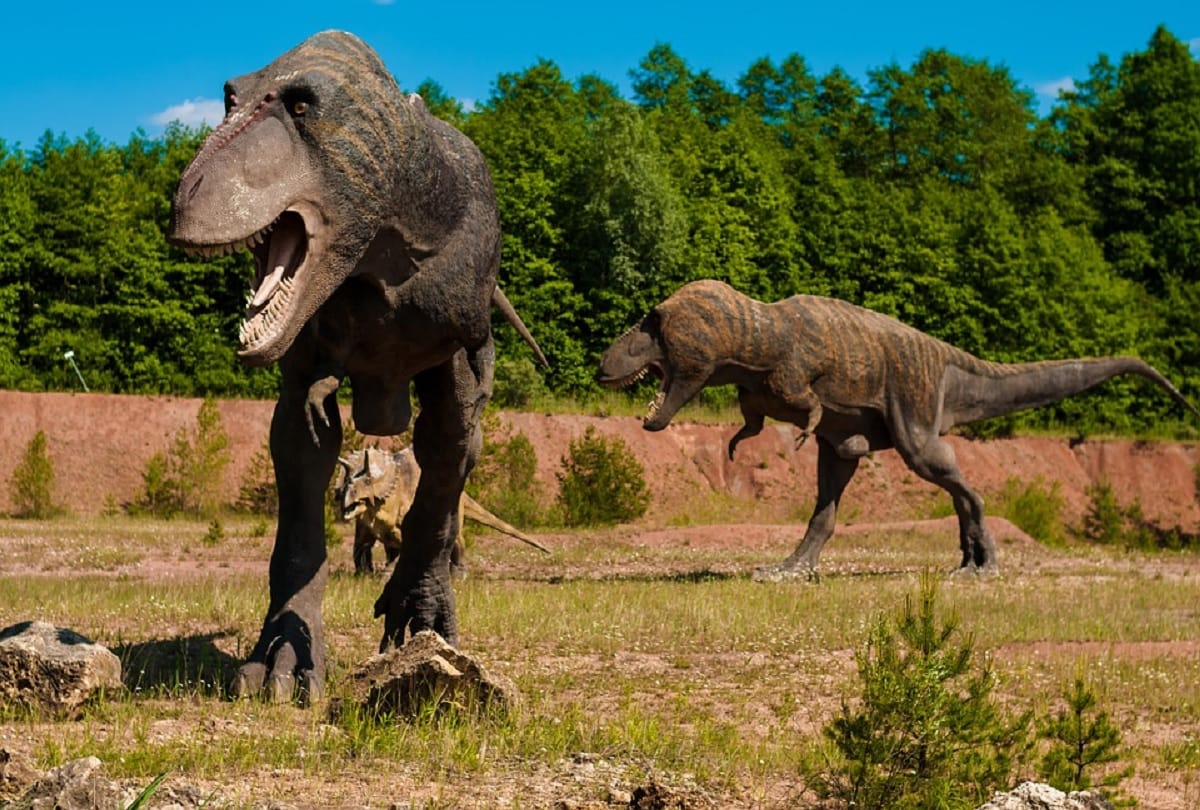 Amazing place on earth Antarctica where dinosaurs roamed millions of years ago