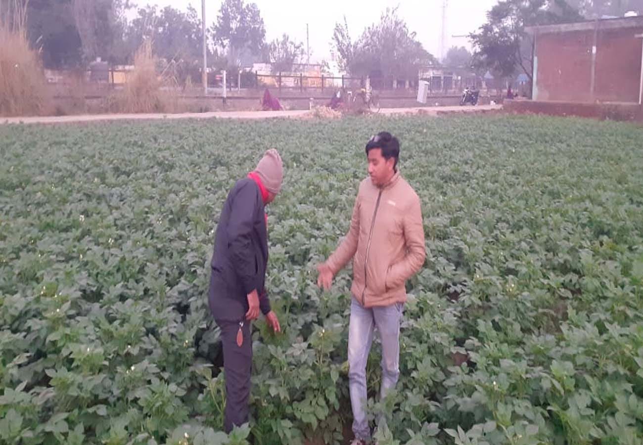 Rahul Pal quit his foreign job and opened a tissue culture lab, teaching scientific farming