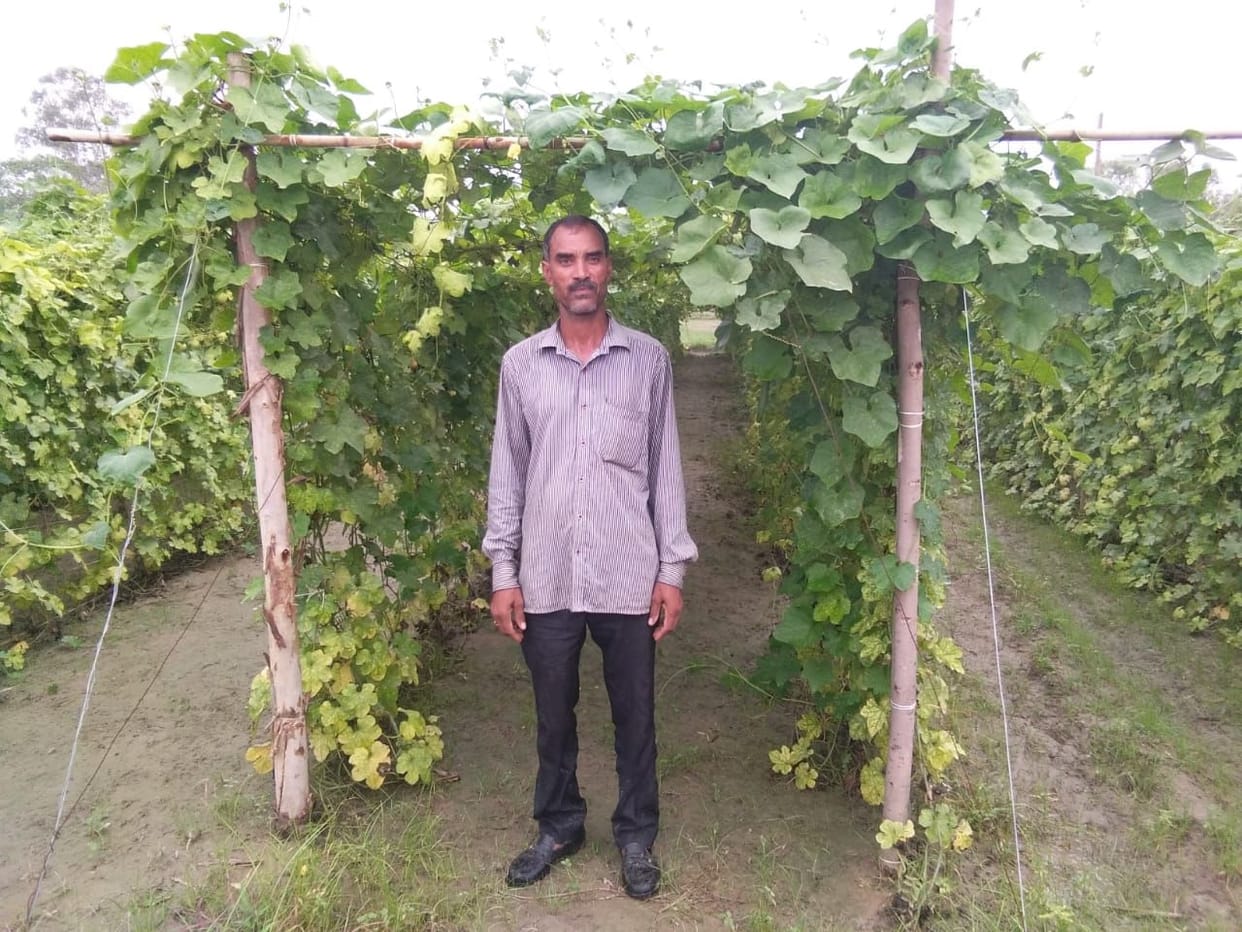 kanpur dehat agricalture