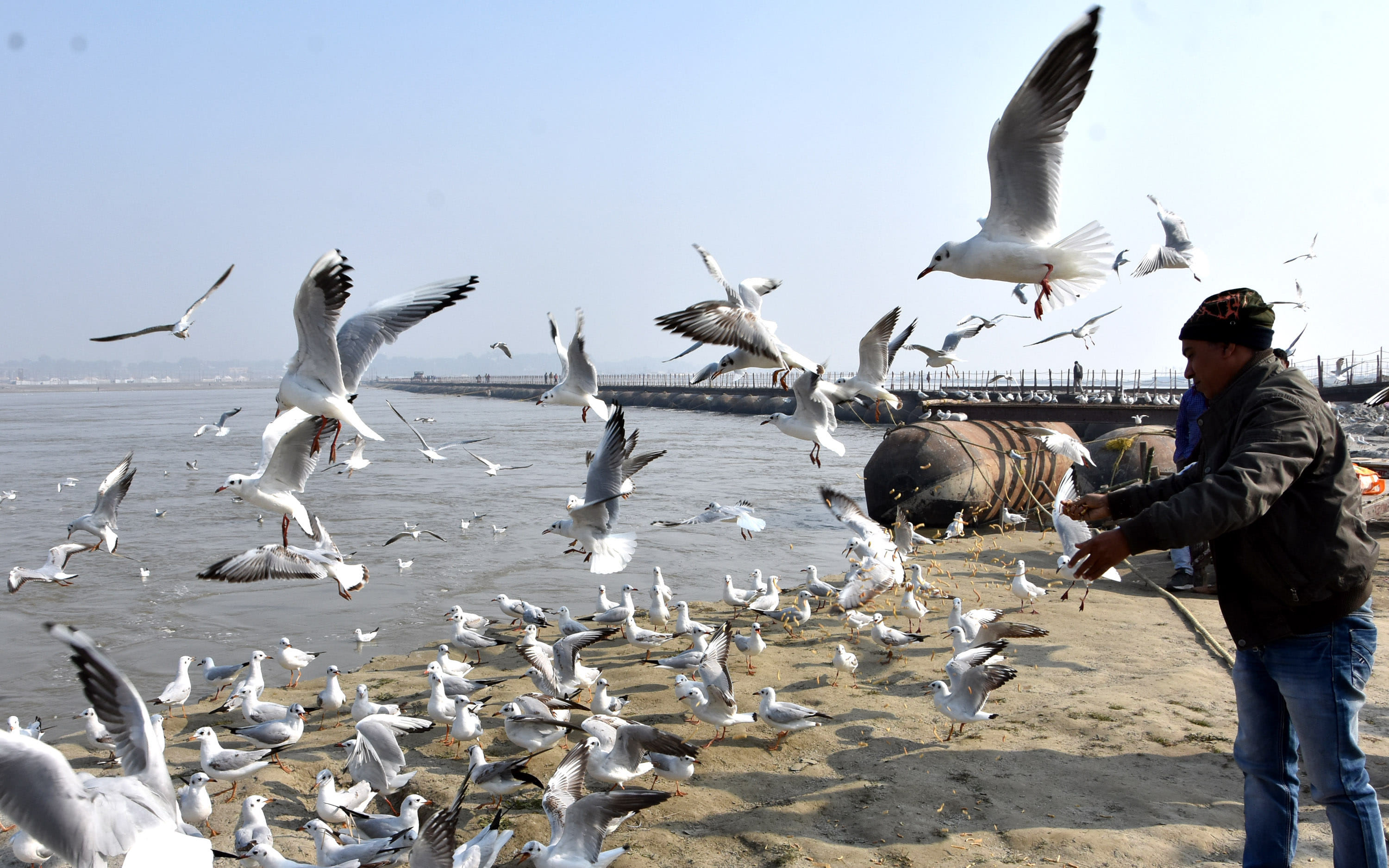 Bathing Ghat, three km away from the camps of Kalpavis, 40% work of Magh fair is still incomplete