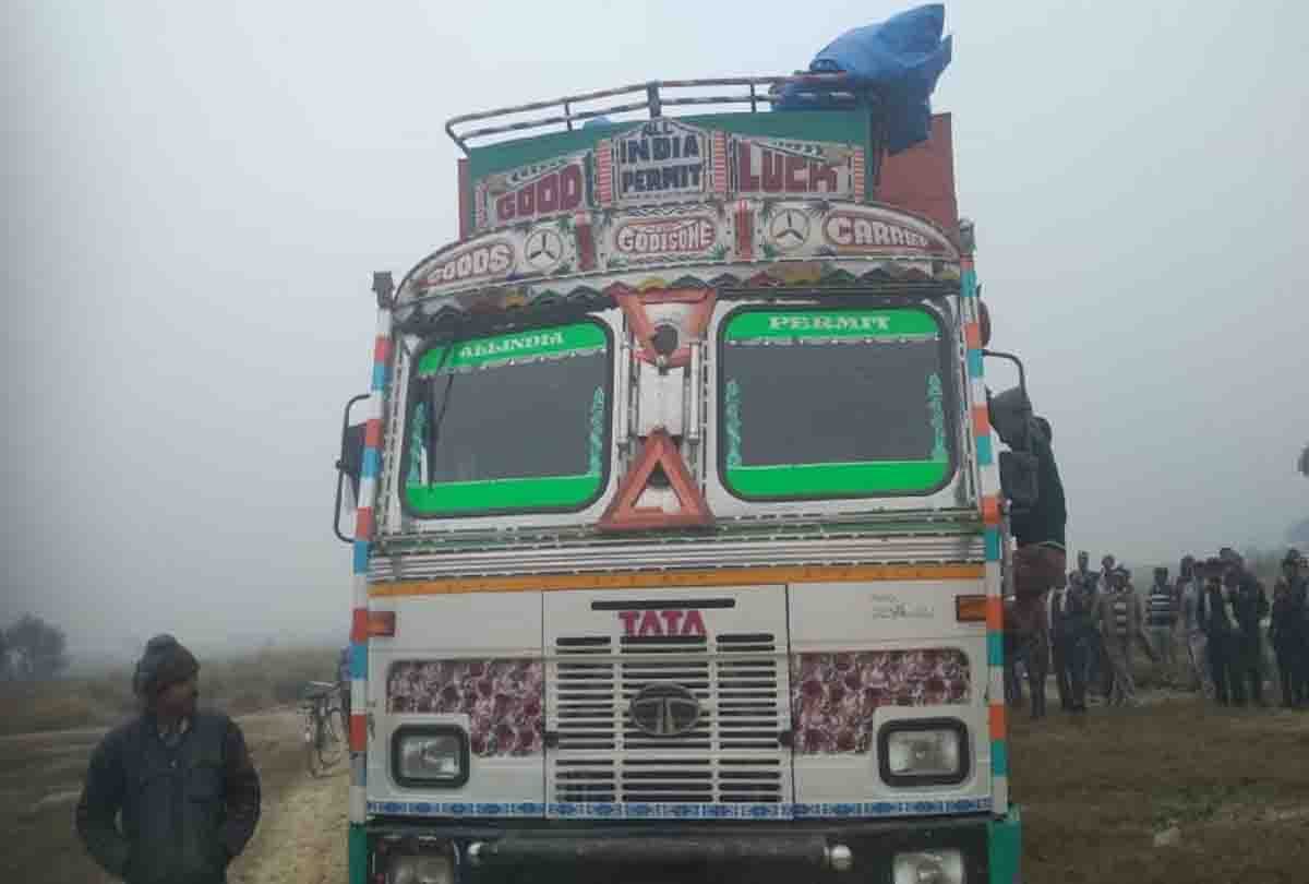 22 dead and 8 live animal found in container truck