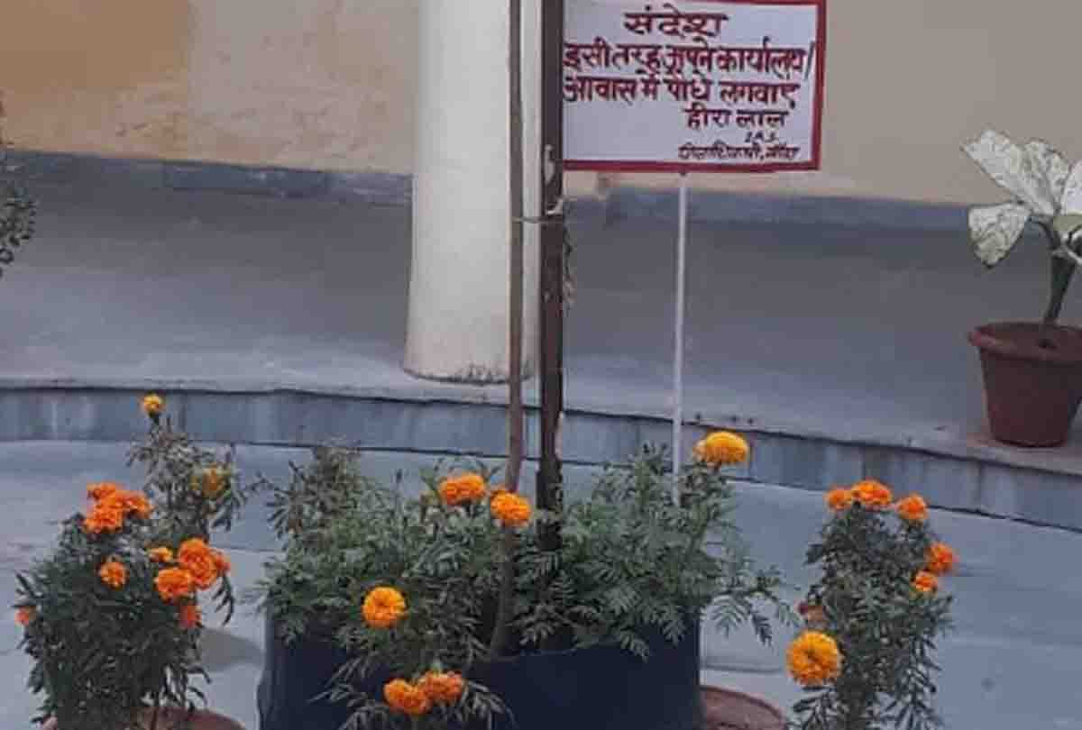 DM of Banda started tree offerings campaign
