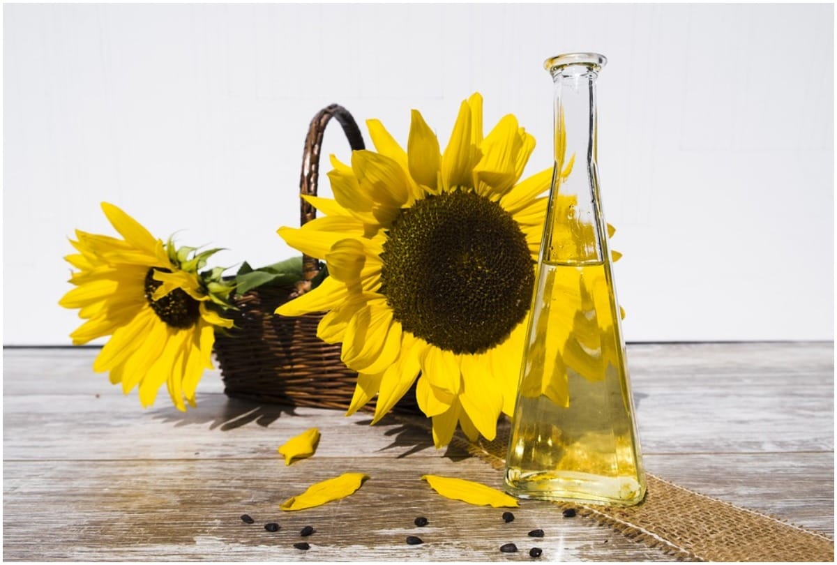 Sunflower seeds benefits for women