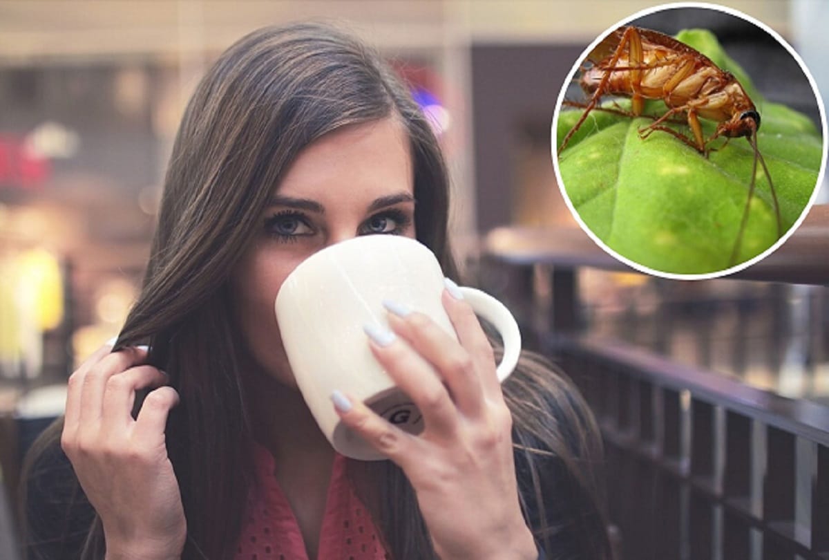 know reason why china people drink cockroach potion