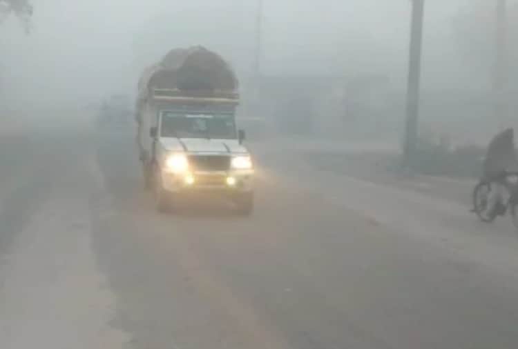 Cold conditions grip Punjab and Haryana, Rohtak coldest in Haryana