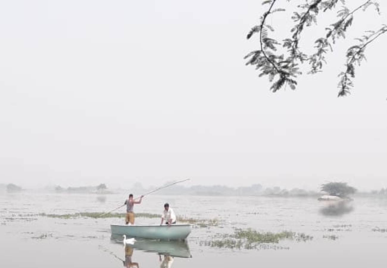 Foreign birds are being hunted under the cover of fog in kannauj