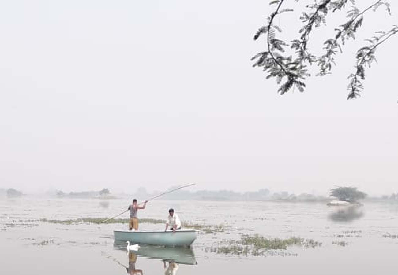 Foreign birds are being hunted under the cover of fog in kannauj