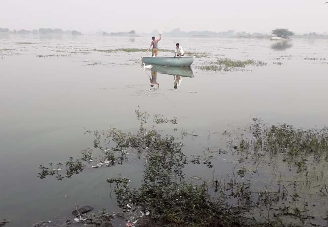 Foreign birds are being hunted under the cover of fog in kannauj