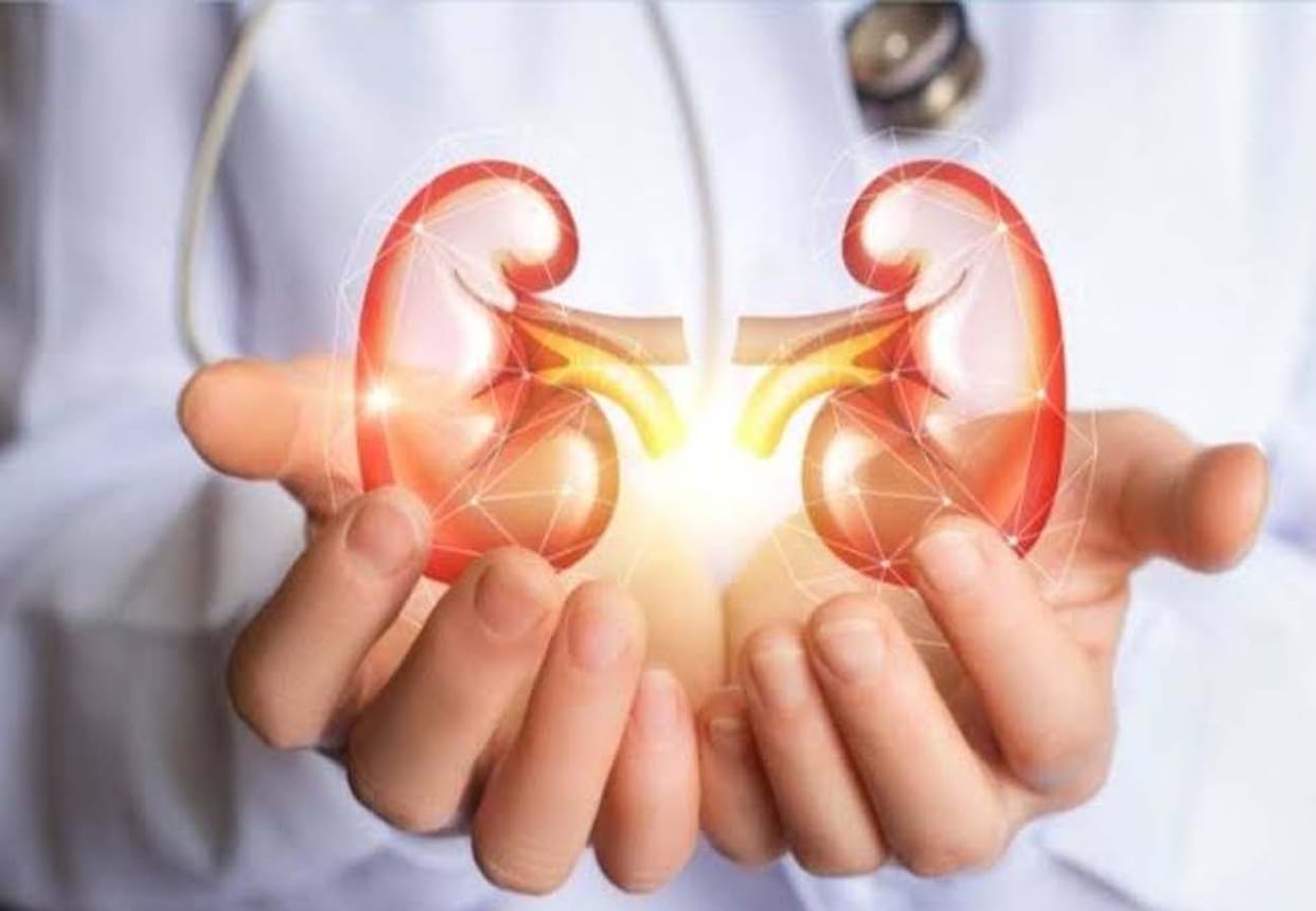Kidney donor provider's house purchase case