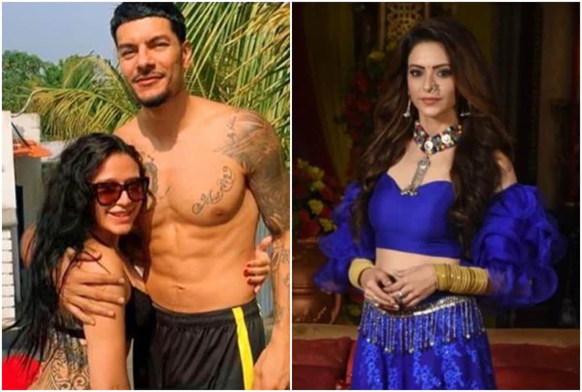 News Capsule Krishna Shroff Tiger Shroff Alia Bhatt Shaheen Bhatt Deepika Padukone Chhapaak Komolika