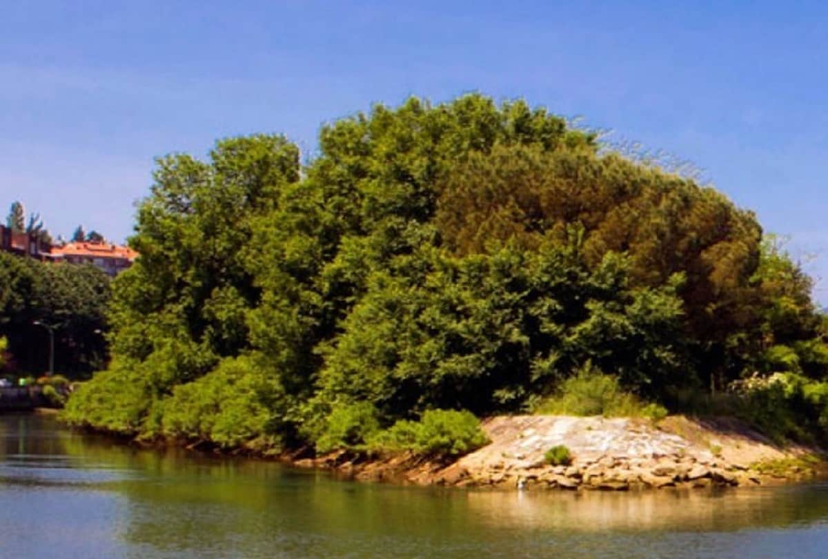Pheasant Island that changes its country every six months