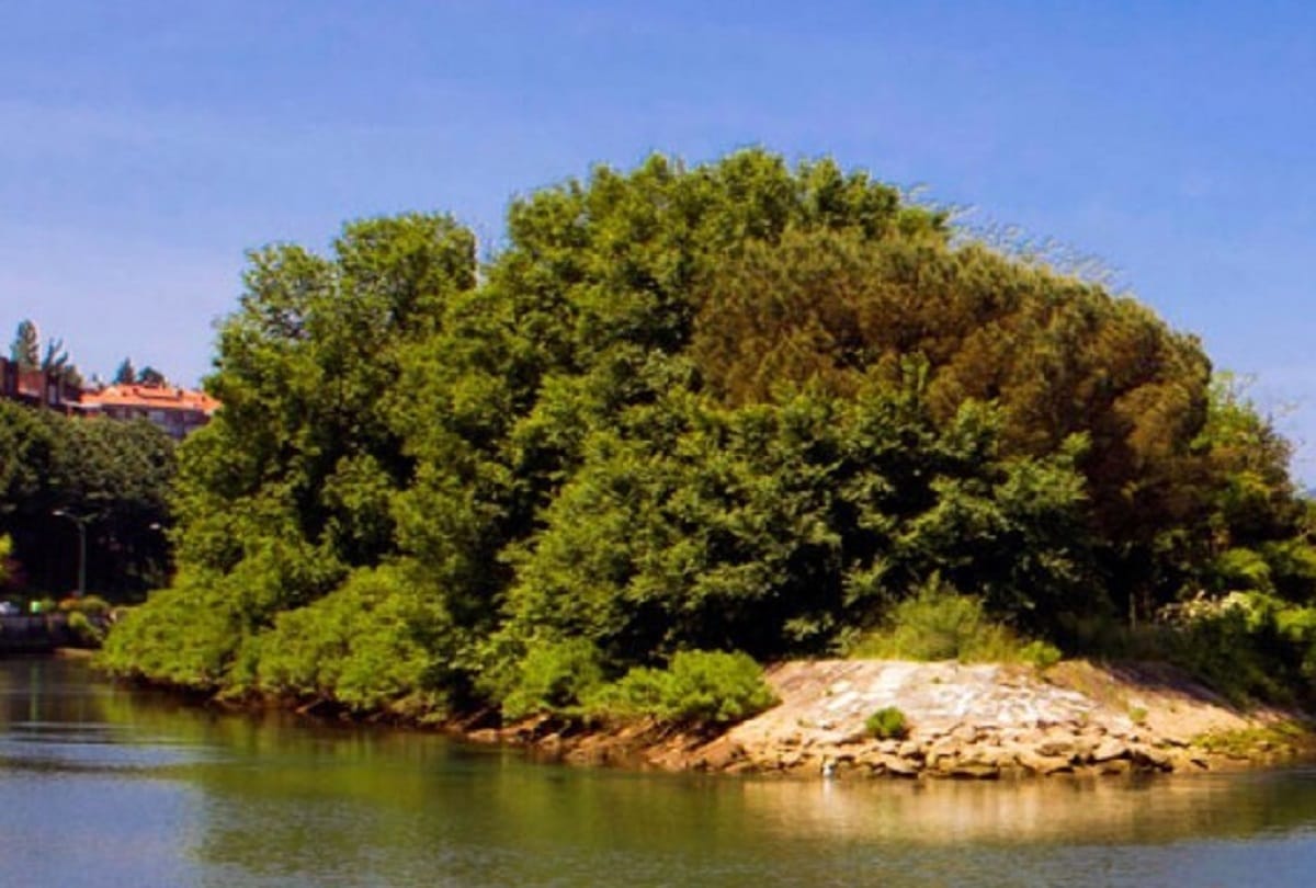 Pheasant Island that changes its country every six months