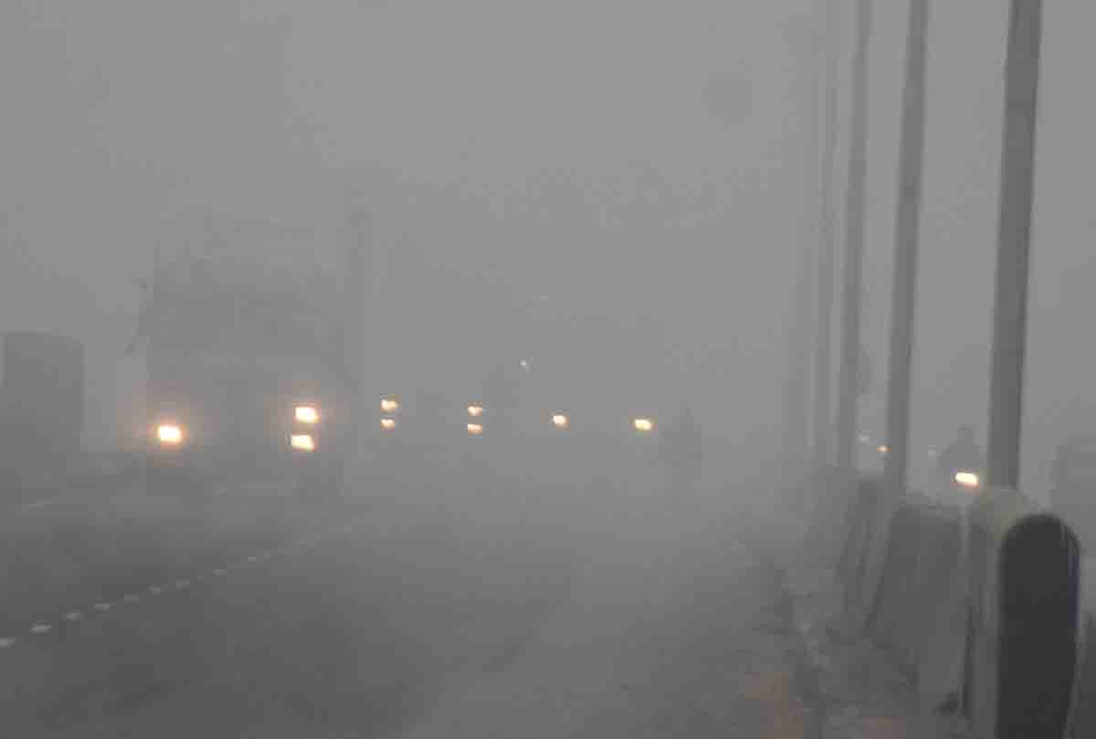 The cold caused havoc in UP on the last day of the year