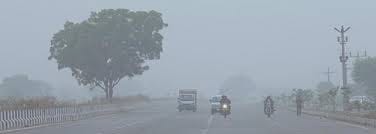 Seven people died due to cold in Prayagraj