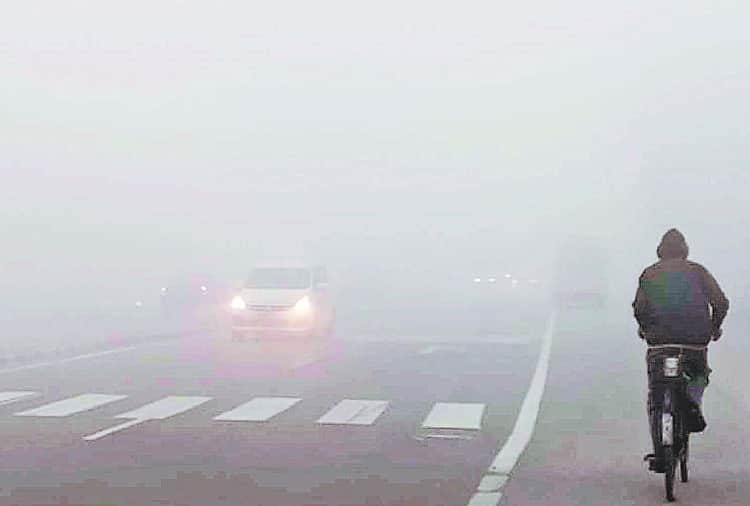 Cold conditions grip Punjab and Haryana, Rohtak coldest in Haryana