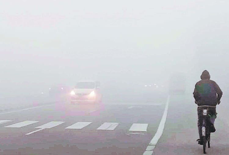 Cold conditions grip Punjab and Haryana, Rohtak coldest in Haryana