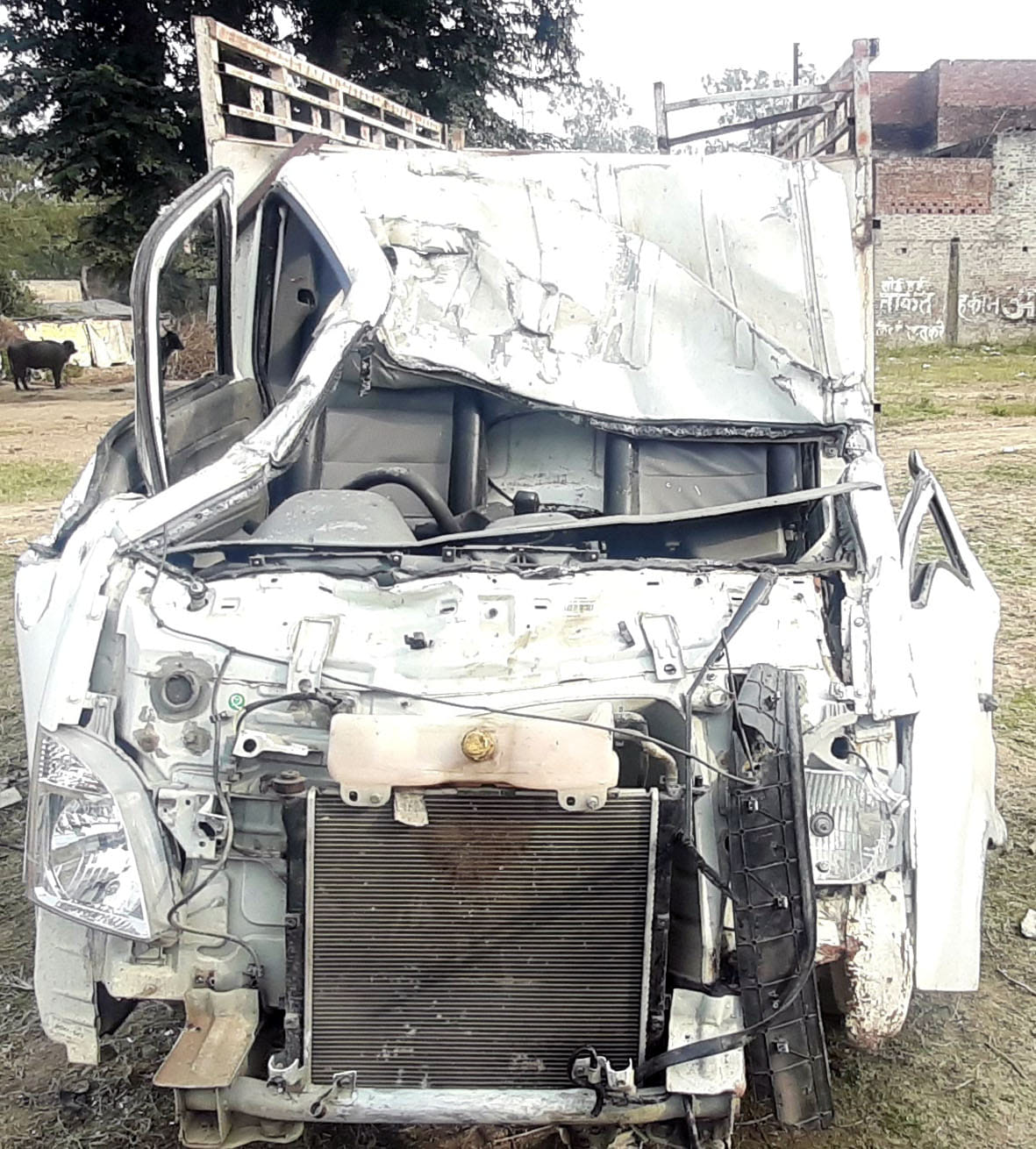 Small elephant laden with bovine collides with truck, smuggler injured