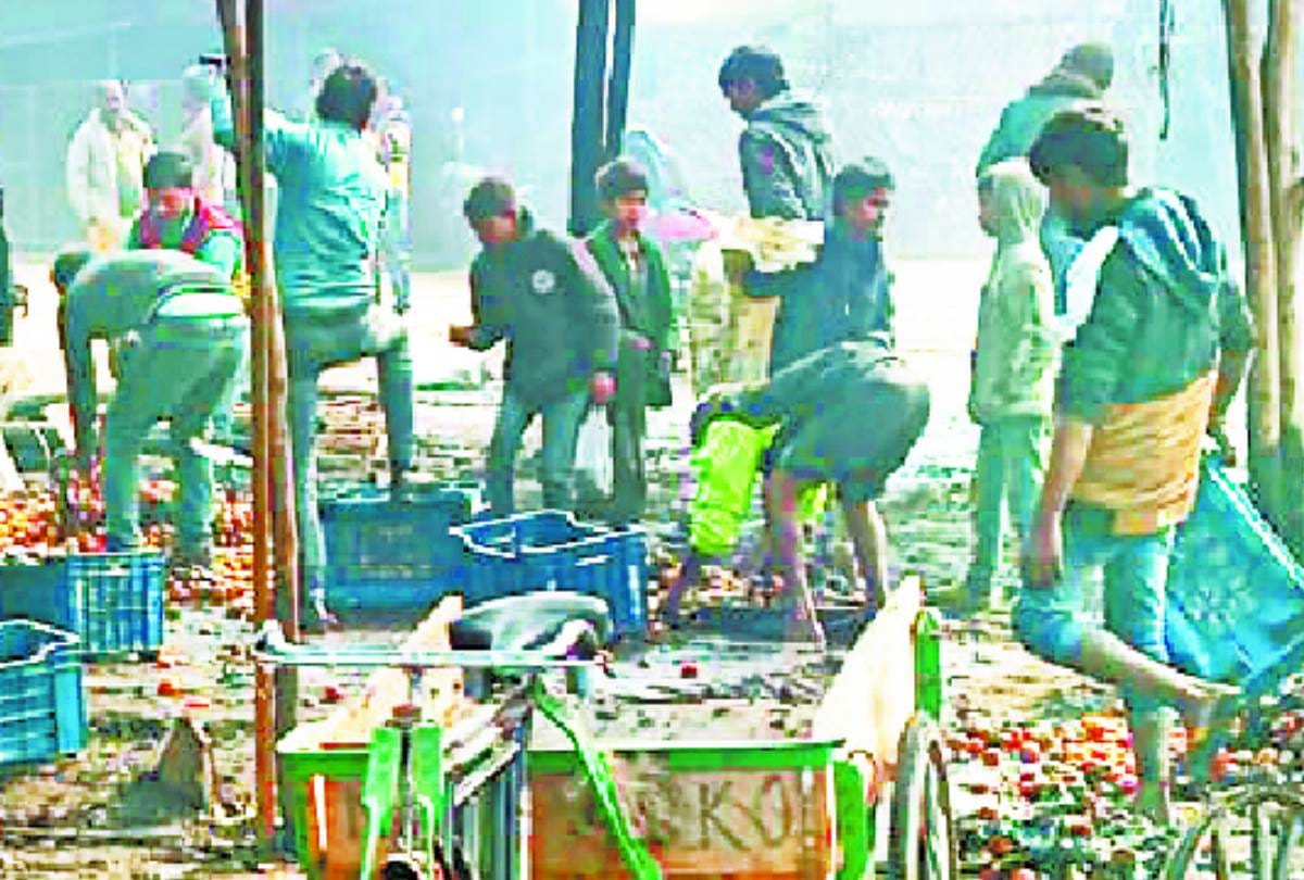 fire broke out in dubagga sabji mandi of lucknow