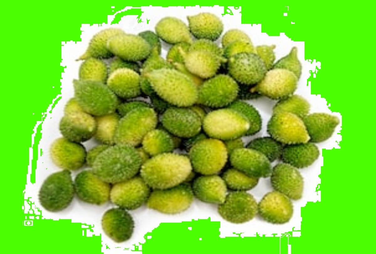 weight loss tips health benefits of kantola in hindi spiny gourd benefits for cancer