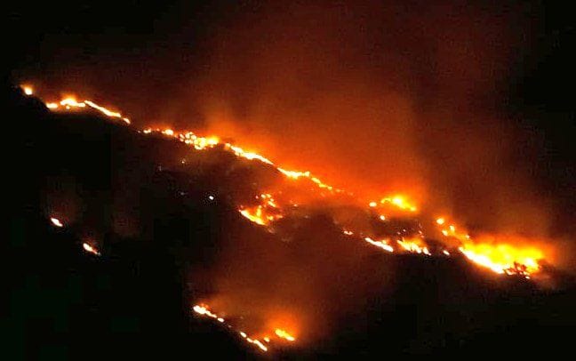 There was snow last week, today the fire in Kalamuni forest has started
