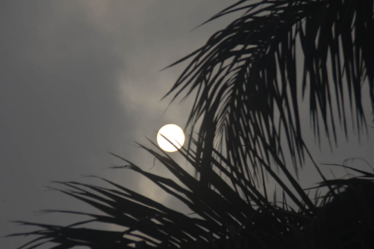 New year 2020: New sunshine, have a look on these amazing pictures of winter