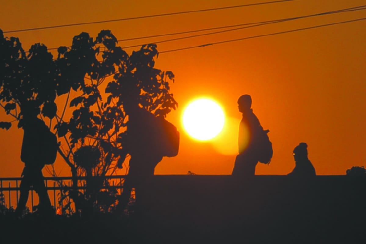 New year 2020: New sunshine, have a look on these amazing pictures of winter