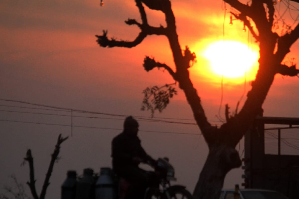 New year 2020: New sunshine, have a look on these amazing pictures of winter