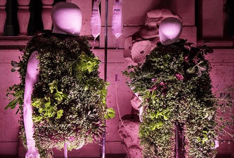World's First Wearable Vegetable Garden Grows 22 Vegetables On Cloth