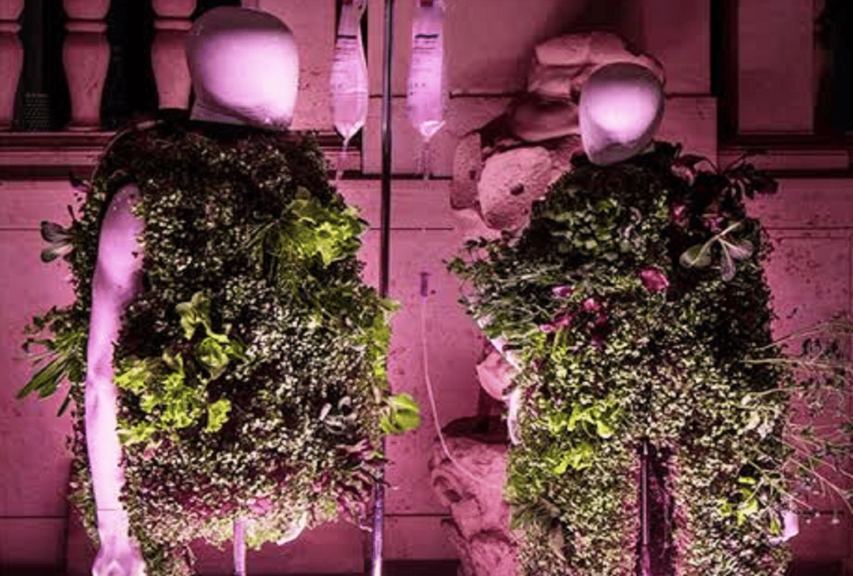 world's first wearable vegetable garden grows 22 vegetables on cloth