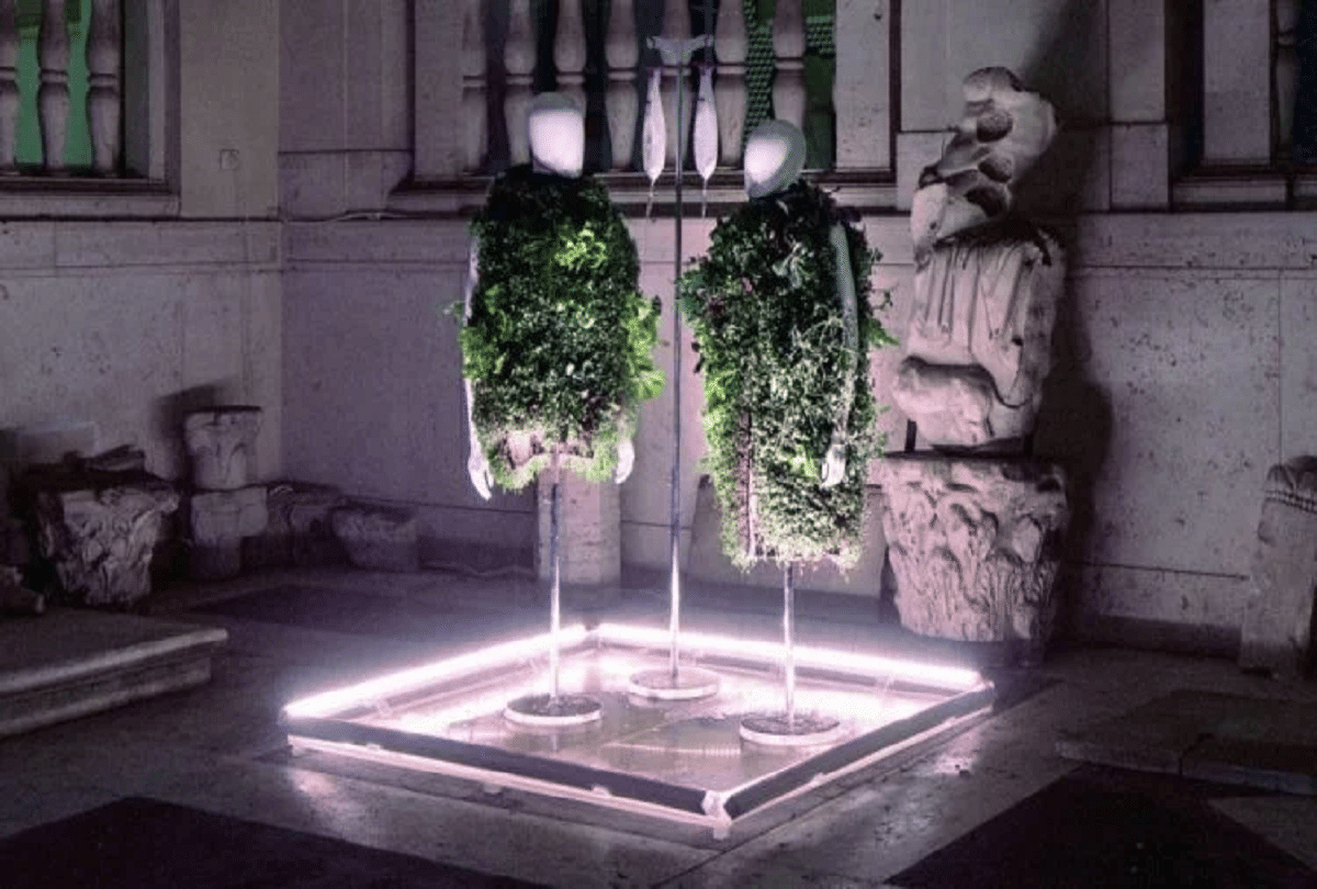 world's first wearable vegetable garden grows 22 vegetables on cloth