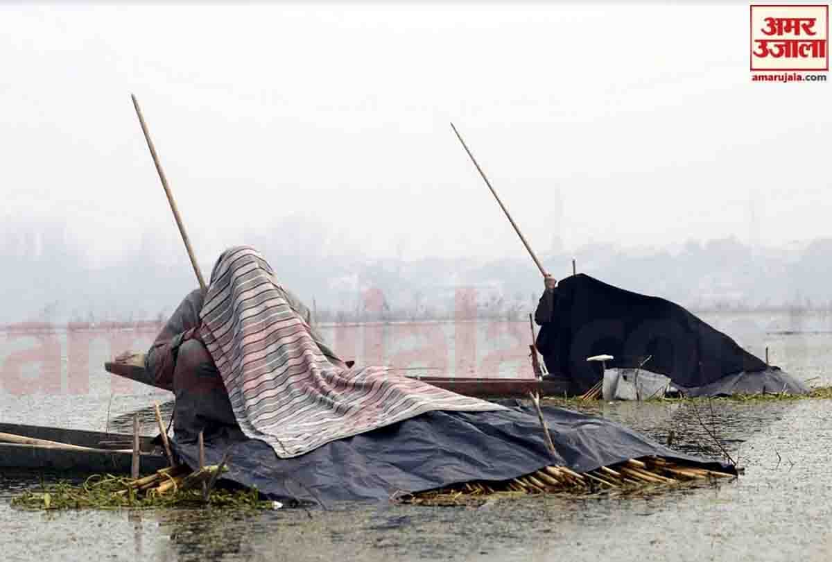 Fishermen cover their heads with blankets to catch fish in Anchar lake in Srinagar