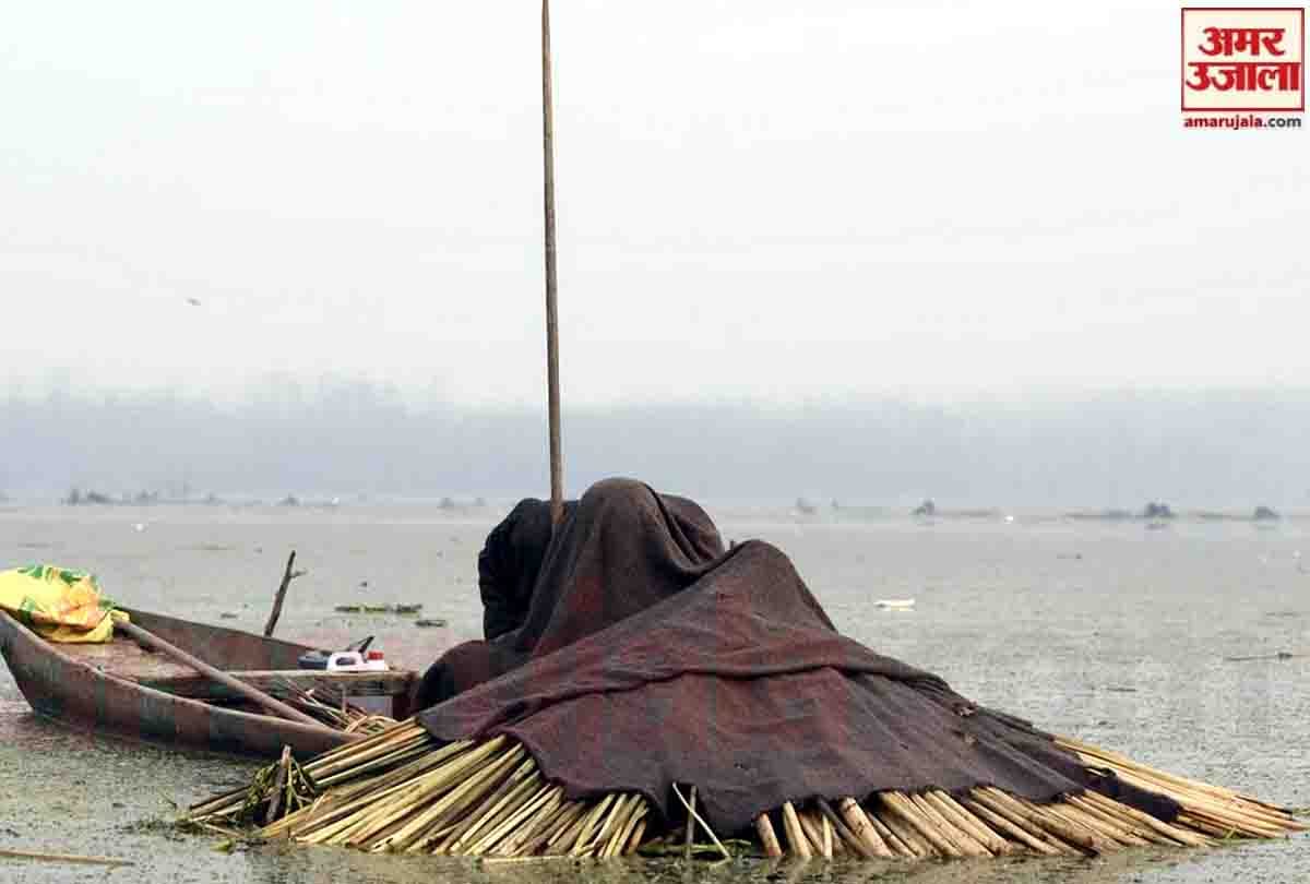 Fishermen cover their heads with blankets to catch fish in Anchar lake in Srinagar