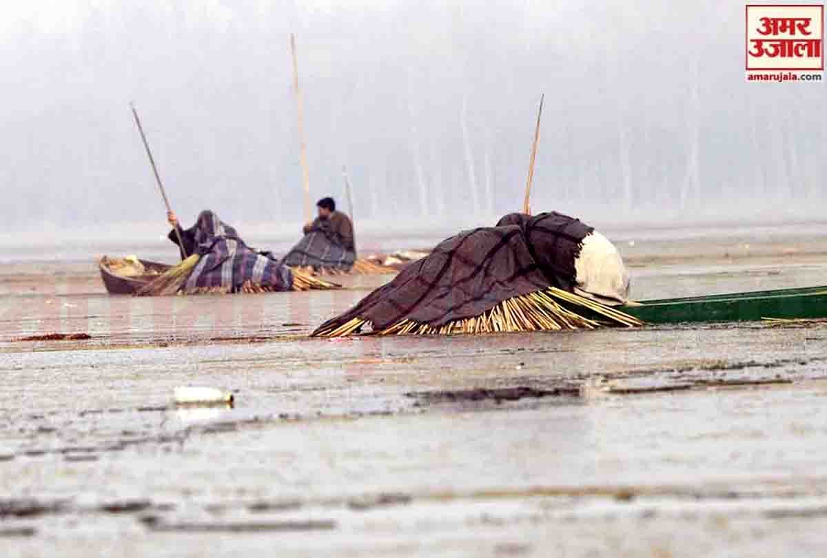 Fishermen cover their heads with blankets to catch fish in Anchar lake in Srinagar