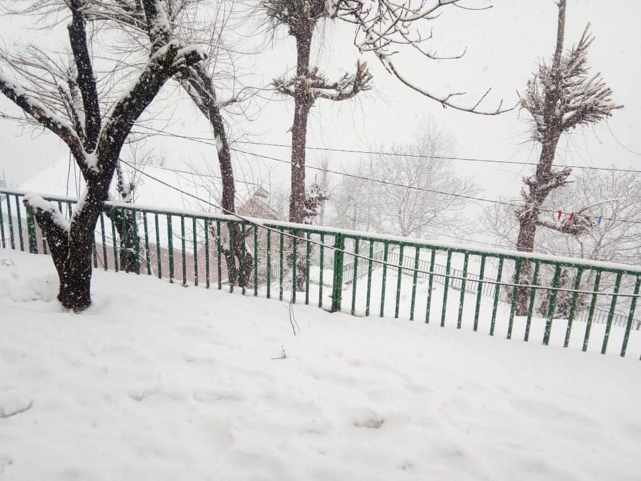 Snow Covered Auli Like Heaven after year 2020 first snowfall See Beautiful Visuals