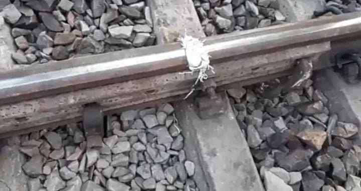 railway line broken