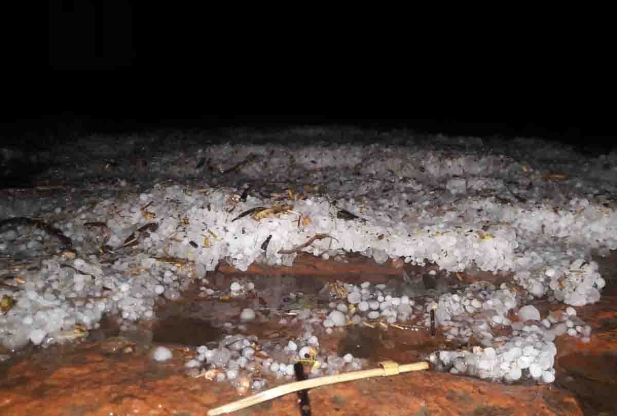 rain fell in Kanpur between heavy cold