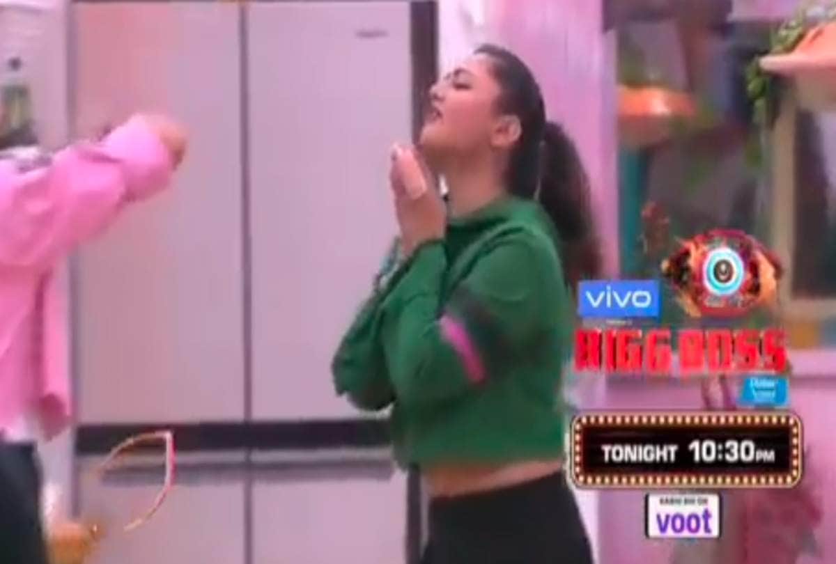 Bigg Boss 13 Rashami Desai fell on Mahira Sharma feet says please forgive me