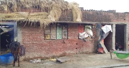 निर्माणधीन उपकेंद्र के बाहर बंधी गाय व कमरों में भरा सामान।