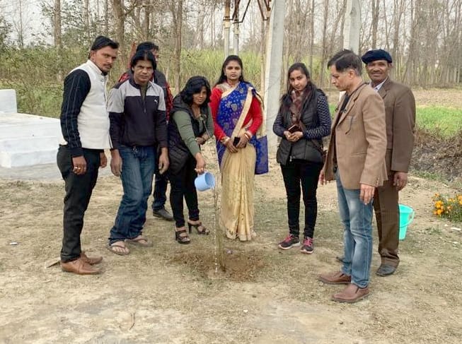 Planted peepal plants