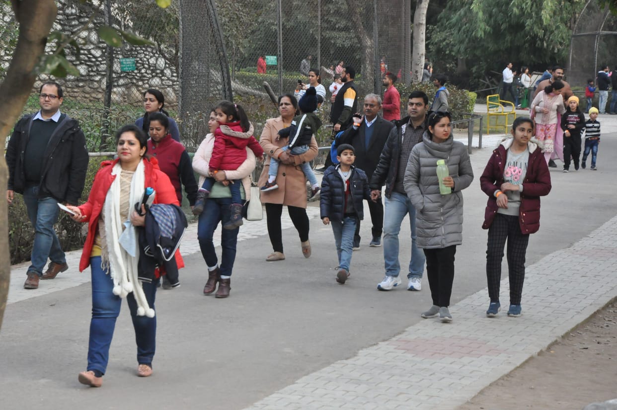 chatbir zoo buzzed with tourists in clear weather