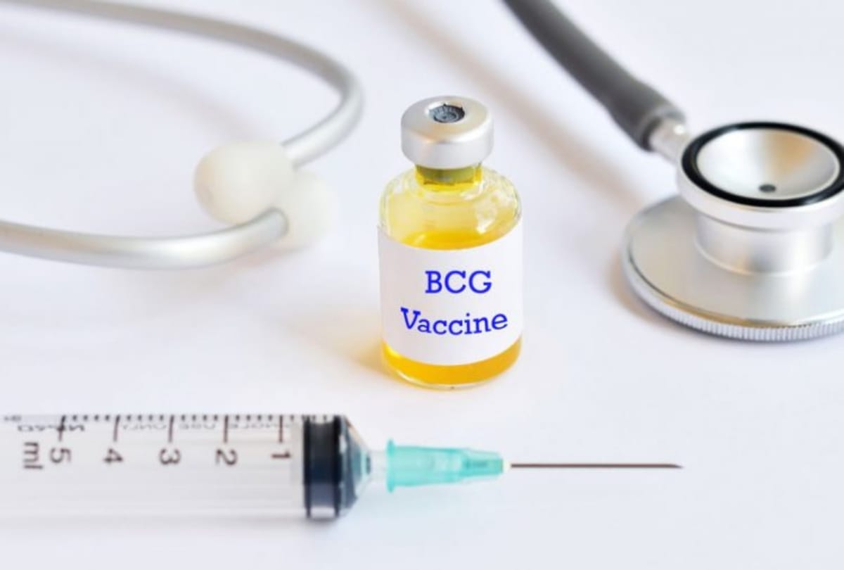 If BCG vaccine is injected intravenously, then TB can be protected